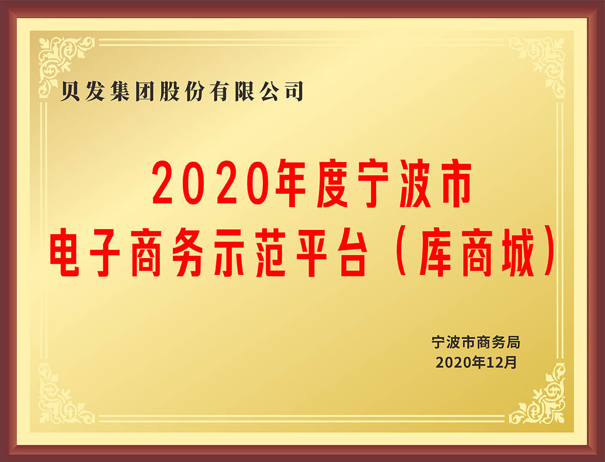 2020年度宁波市 电子商务示范平台(库商城)