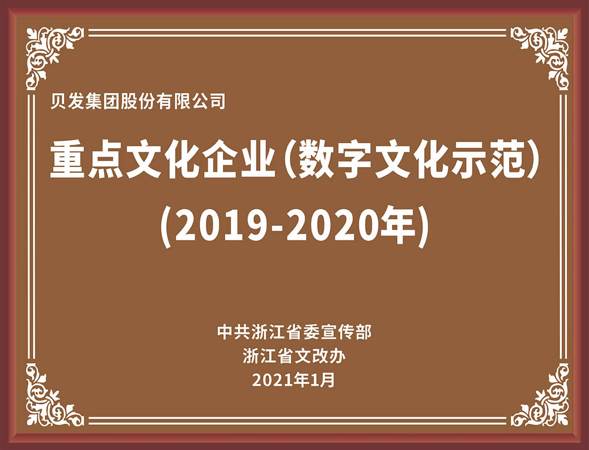 重点文化企业(数字文化示范) (2019-2020年)