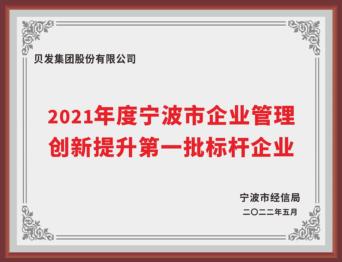 2021年度宁波市企业管理 创新提升第一批标杆企业